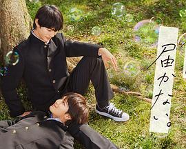 武胜县网站关键词优化